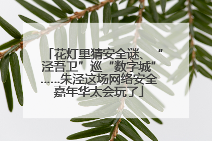 花灯里猜安全谜、“泾吾卫”巡“数字城”……朱泾这场网络安全嘉年华太会玩了